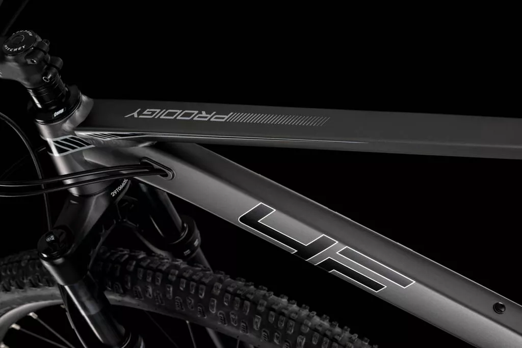 4EVER Bikes PRODIGY Race 29" Sort/ Sølv - Billede 2