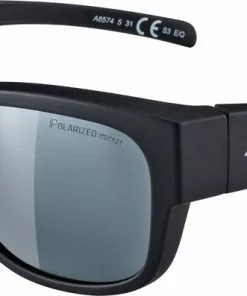 Alpina Apline Overview II Polariserede Cykelbriller